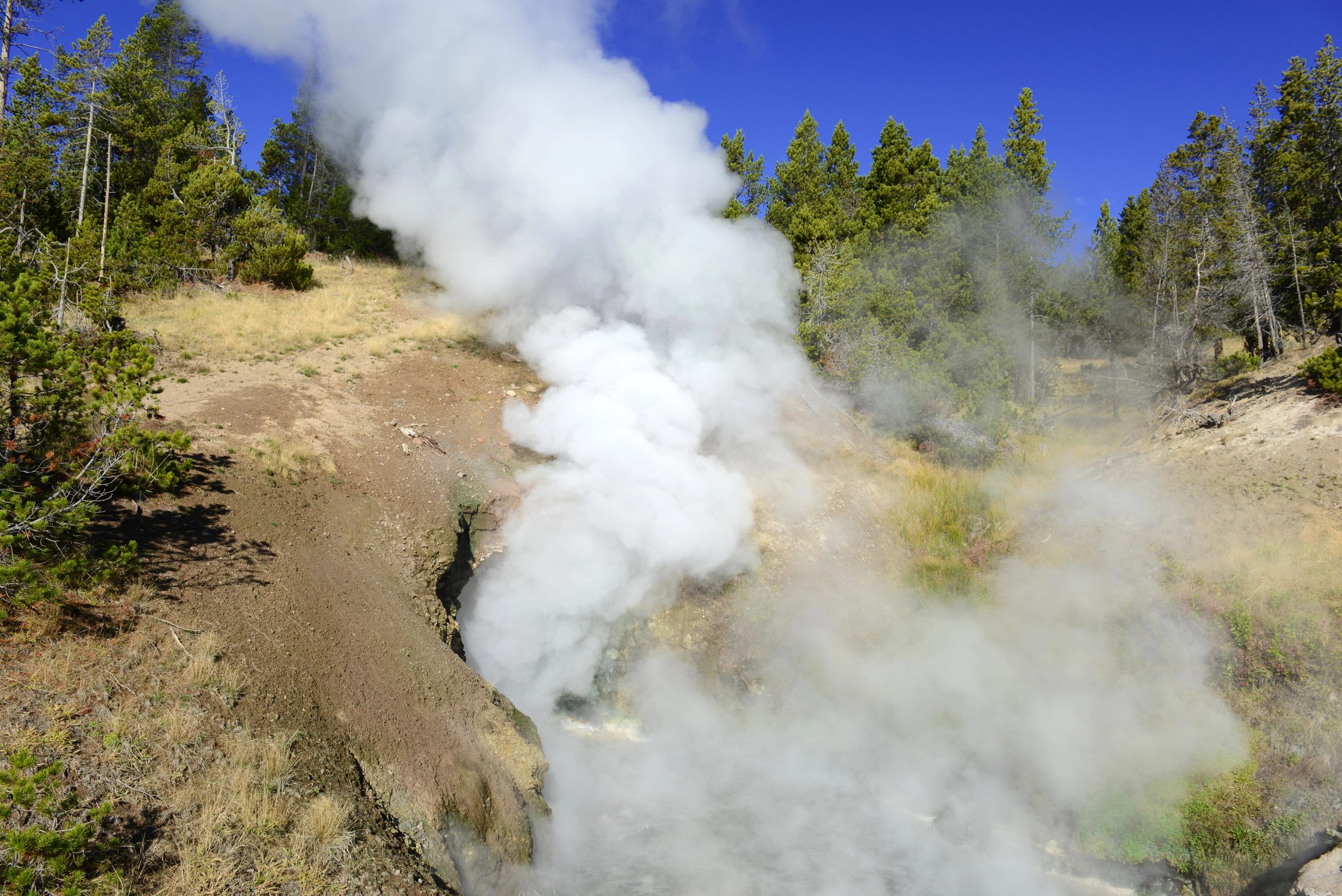 Depositphotos 86855458 XL